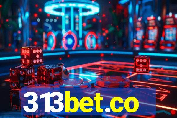 313bet.co