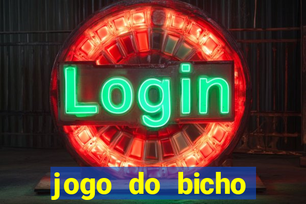 jogo do bicho crash bingo