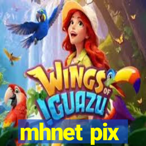 mhnet pix