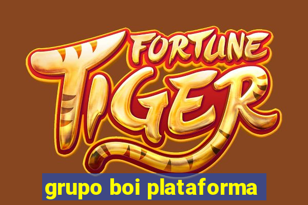 grupo boi plataforma