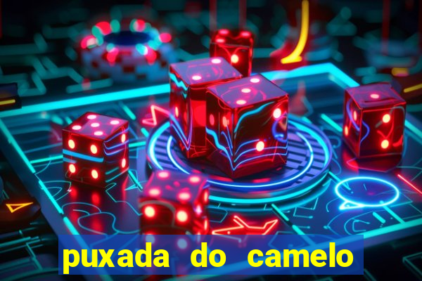 puxada do camelo jogo do bicho