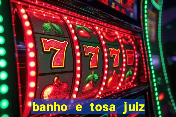 banho e tosa juiz de fora