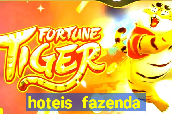 hoteis fazenda porto velho