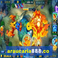 araucaria888.com