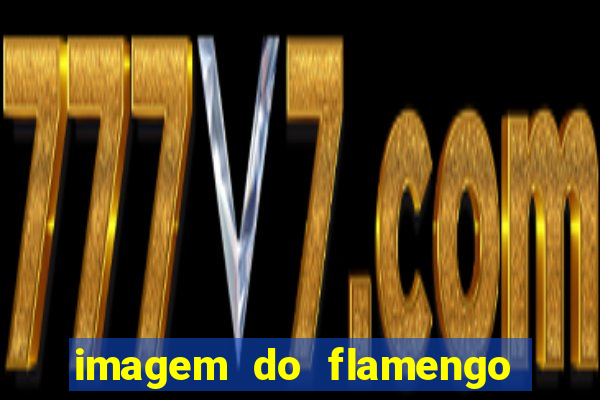 imagem do flamengo para perfil