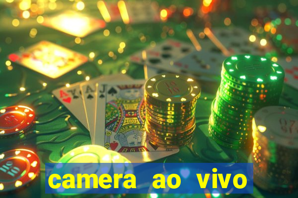 camera ao vivo beto carrero