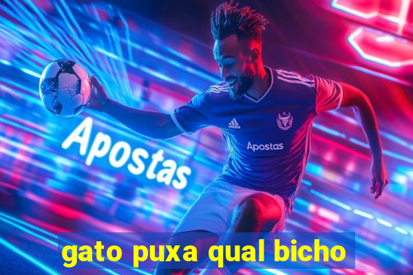 gato puxa qual bicho