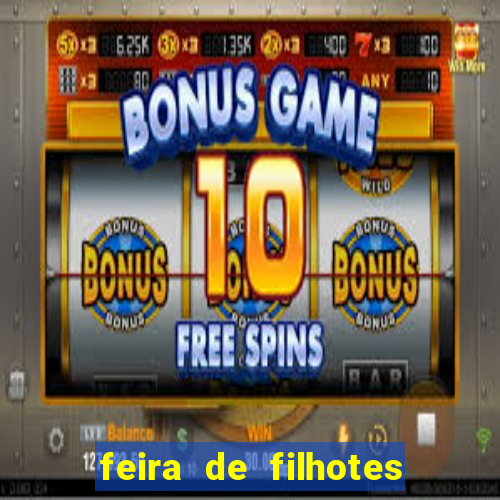 feira de filhotes porto alegre