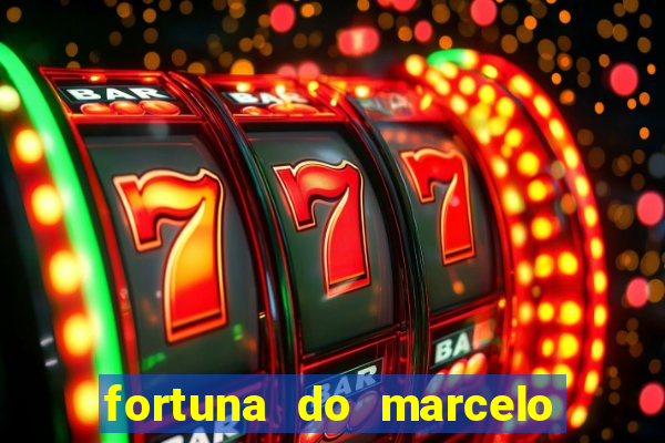 fortuna do marcelo do fluminense