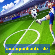 acompanhante de porto belo