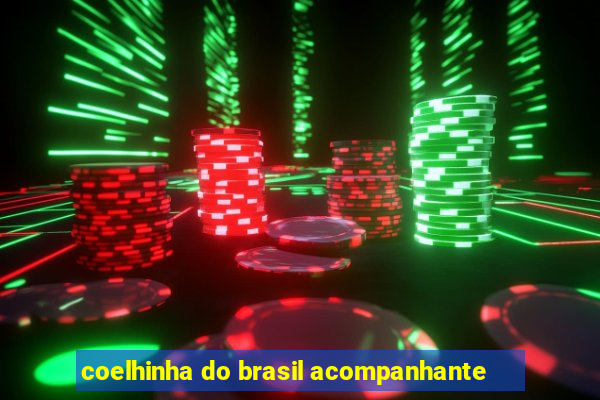 coelhinha do brasil acompanhante
