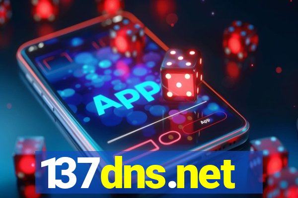 137dns.net