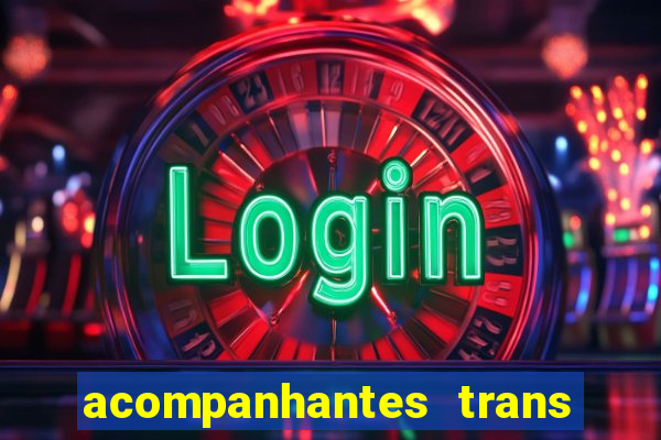 acompanhantes trans baixada fluminense