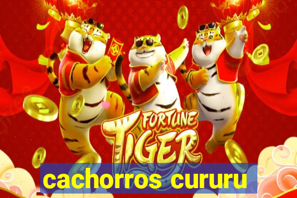 cachorros cururu