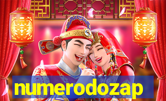 numerodozap