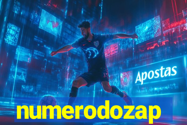 numerodozap