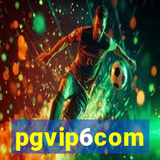 pgvip6com