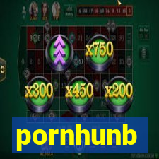 pornhunb