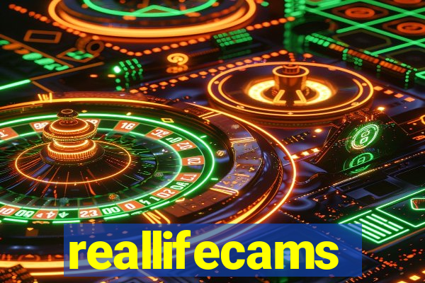 reallifecams