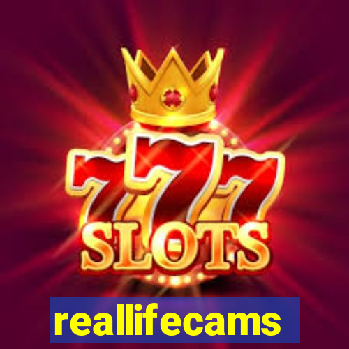 reallifecams