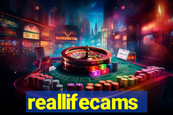 reallifecams