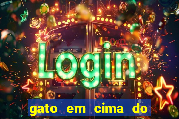 gato em cima do telhado significado espiritual