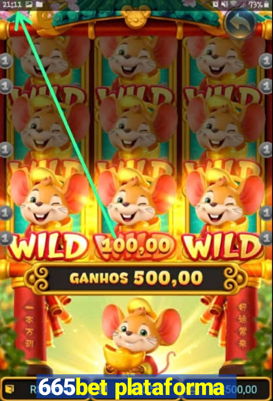 665bet plataforma