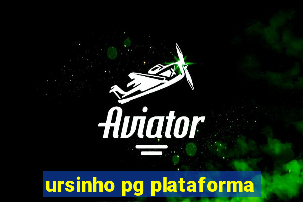 ursinho pg plataforma