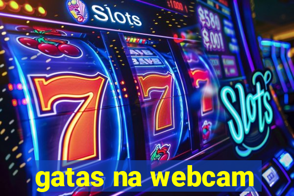 gatas na webcam