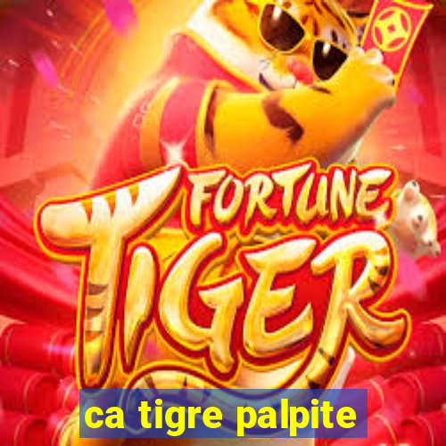 ca tigre palpite