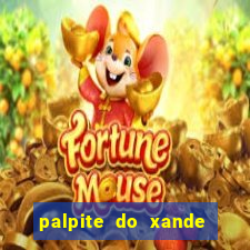palpite do xande para hoje