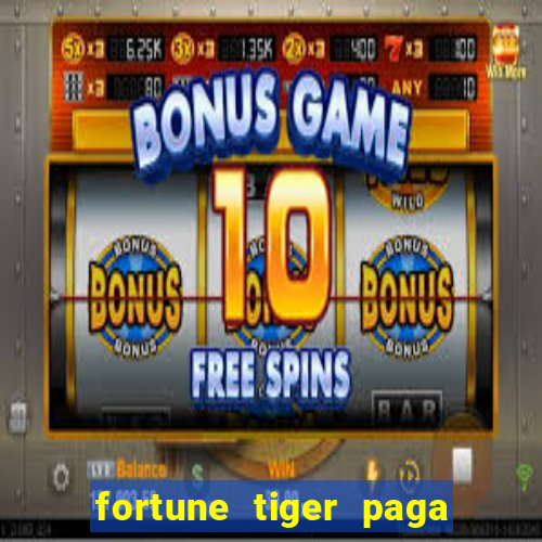 fortune tiger paga de madrugada