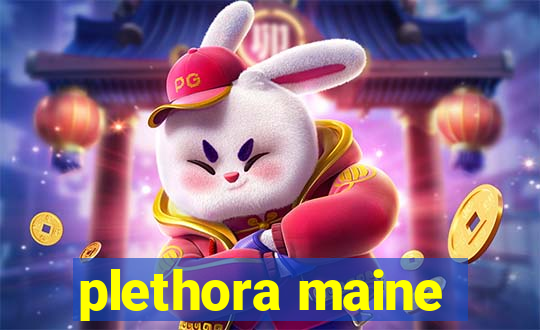 plethora maine