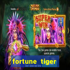 fortune tiger plataforma nova