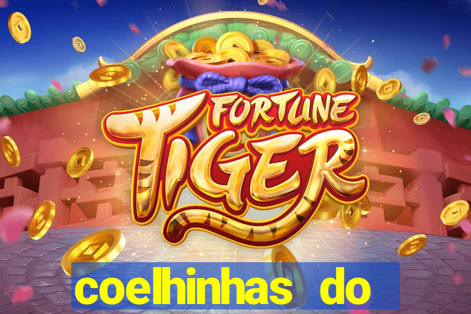 coelhinhas do brasil site