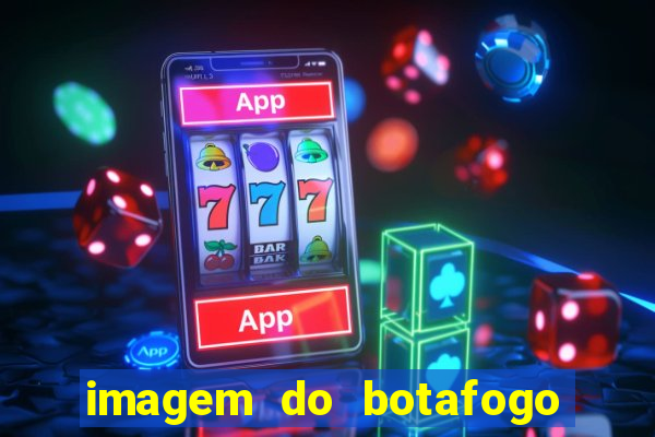 imagem do botafogo zuando o palmeiras