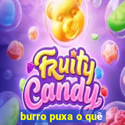 burro puxa o quê