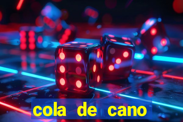 cola de cano quanto tempo para secar