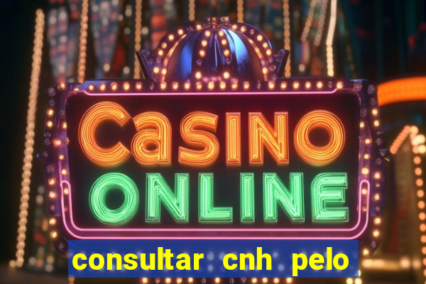 consultar cnh pelo cpf sp