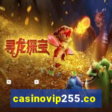 casinovip255.com