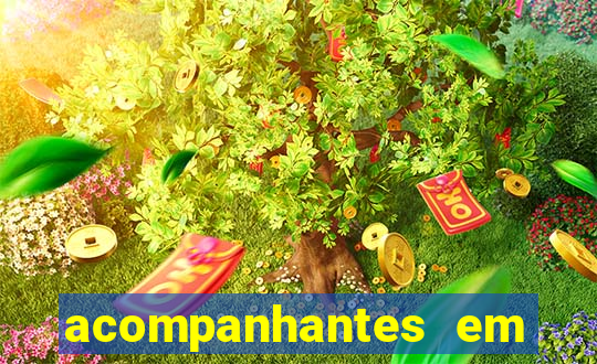 acompanhantes em altos pi