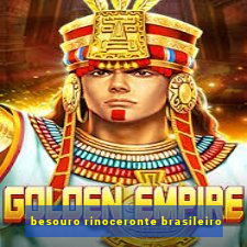 besouro rinoceronte brasileiro