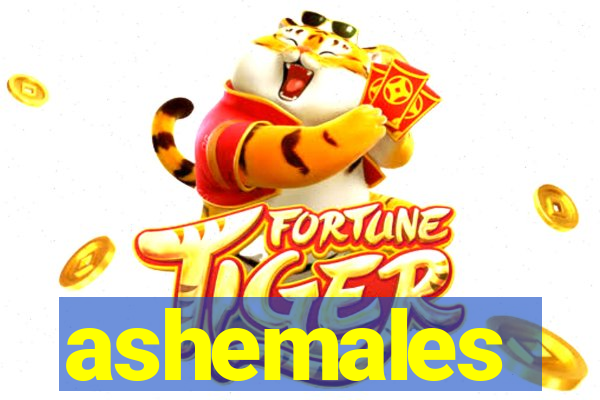 ashemales