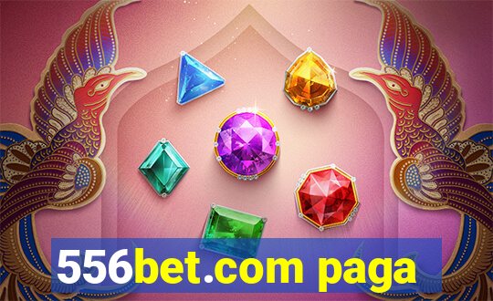 556bet.com paga
