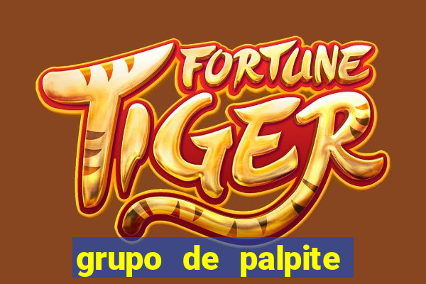 grupo de palpite de futebol telegram