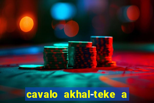 cavalo akhal-teke a venda no brasil cavalo akhal teke no