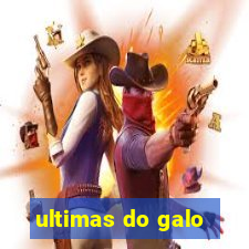 ultimas do galo