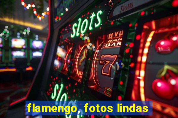 flamengo, fotos lindas