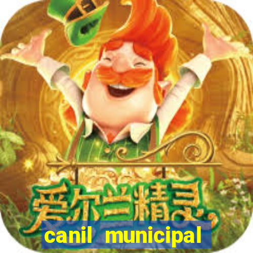 canil municipal porto alegre