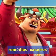 remÃ©dios caseiros para baixar diabetes